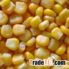 sweet corn