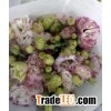 Eustoma
