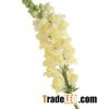 snapdragon