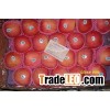 Chinese Red,Sweet,Crisp  Fuji Apple