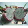 Vietnam dragon fruit