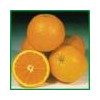 Orange ,Mandarin