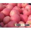 Fresh Fuji Apples