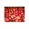 Fresh apple