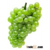 Fresh Grapes