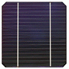 mono or poly crystalline solar cell