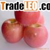 RED FUJI APPLE