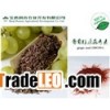 grape seed extract