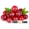 Cranberry Juice Powder