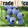 Blueberry anthocyanin(jesslie at snowlotusbiotech dot c