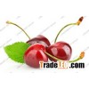 Chokeberry Juice Powder