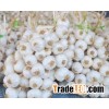 **HOT white garlic quality origin Vietnam
