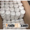 Frozen Garlic Wholesale