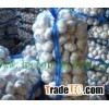 See larger image Highest quality pure garlic HPPWG11