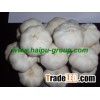 2012 new crop pure garlic HPPWG7
