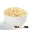 white sesame seed extract 10:1 Light Yellow or White Powder