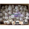 Fresh New Pure White Garlic HPPWG4