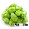 Hops P.E. , Women‘s Health?Antibacterial anti-inflammatory?I