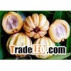 Garcinia Cambogia Extract  Hydroxycitric Acid 50%