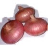 red onion/yellow onion