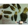 Dry Morels (guchchi) Morchella