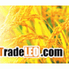 Rice Bran Oil