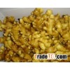 Supply china export Fresh gingers