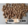 Notoginseng