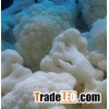 IQF cauliflower florets