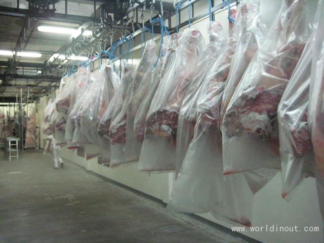 meat-beef-carcass-photo-1-packed-hanged