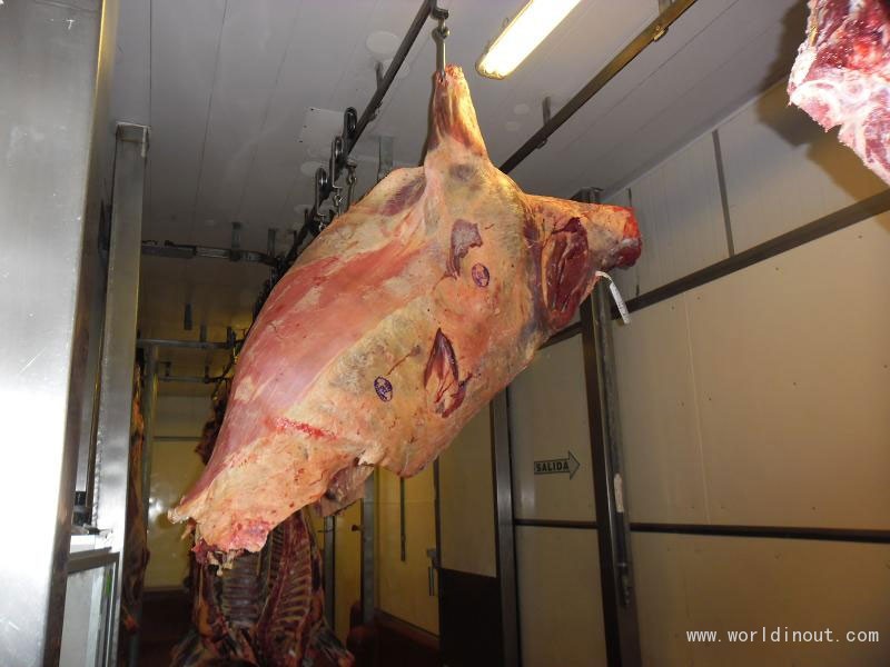 meat-beef-carcass-photo-11