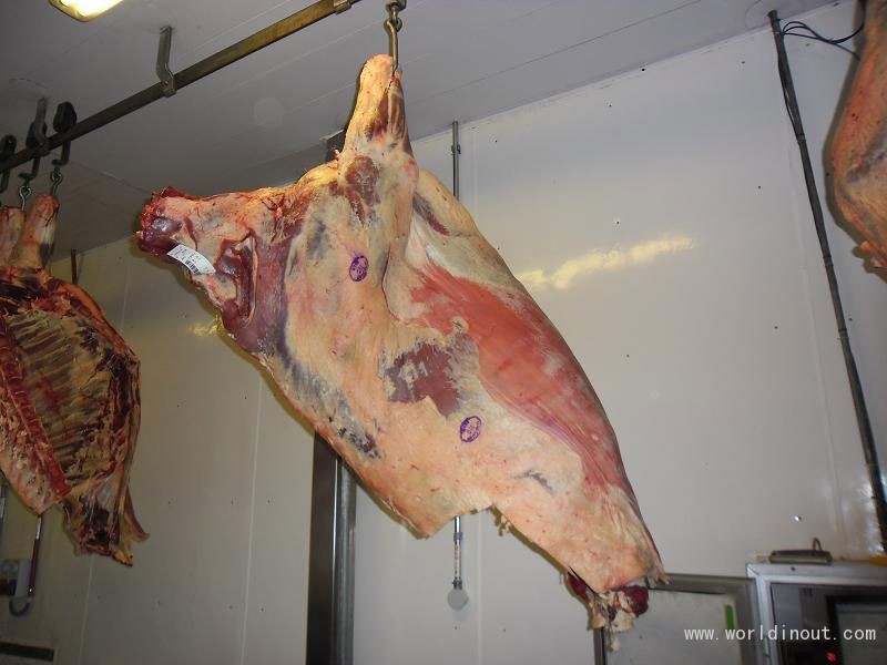 meat-beef-carcass-photo-13