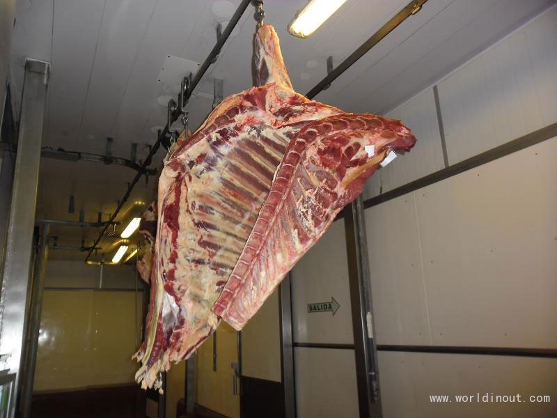 meat-beef-carcass-photo-14