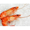 Prawns