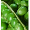 Dry Green Pea