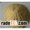 yeast