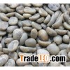 Small Coffee beans Catimor Miel process Espressp