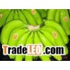 Offer To Sell Fresh Cavendish Banana