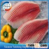 Frozen Tilapia Fillet