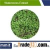 Watercress extract 10:1,nasturtium officinale,Dehydrated