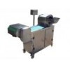 QSJ - 300 Type vegetable shredder