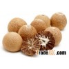 betel nut with reasonable price from Vietnam