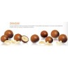 Premium ( Belgian Grade) Chocolate for Mid end Market
