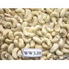 Cashew Nuts WW320
