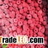 IQF Raspberry