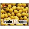 Soybean Extract