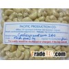 VN CASHEW NUTS