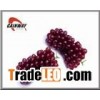 extract,ingredient,herbal.plant,medicine,Grape Skin Extract
