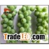 Schisandea Extract