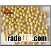 Nattokinase Extract Ingredient Herbal Health